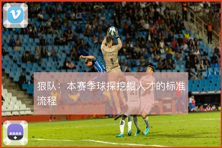 狼队:本赛季球探挖掘人才的标准流程