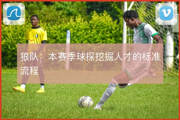狼队:本赛季球探挖掘人才的标准流程